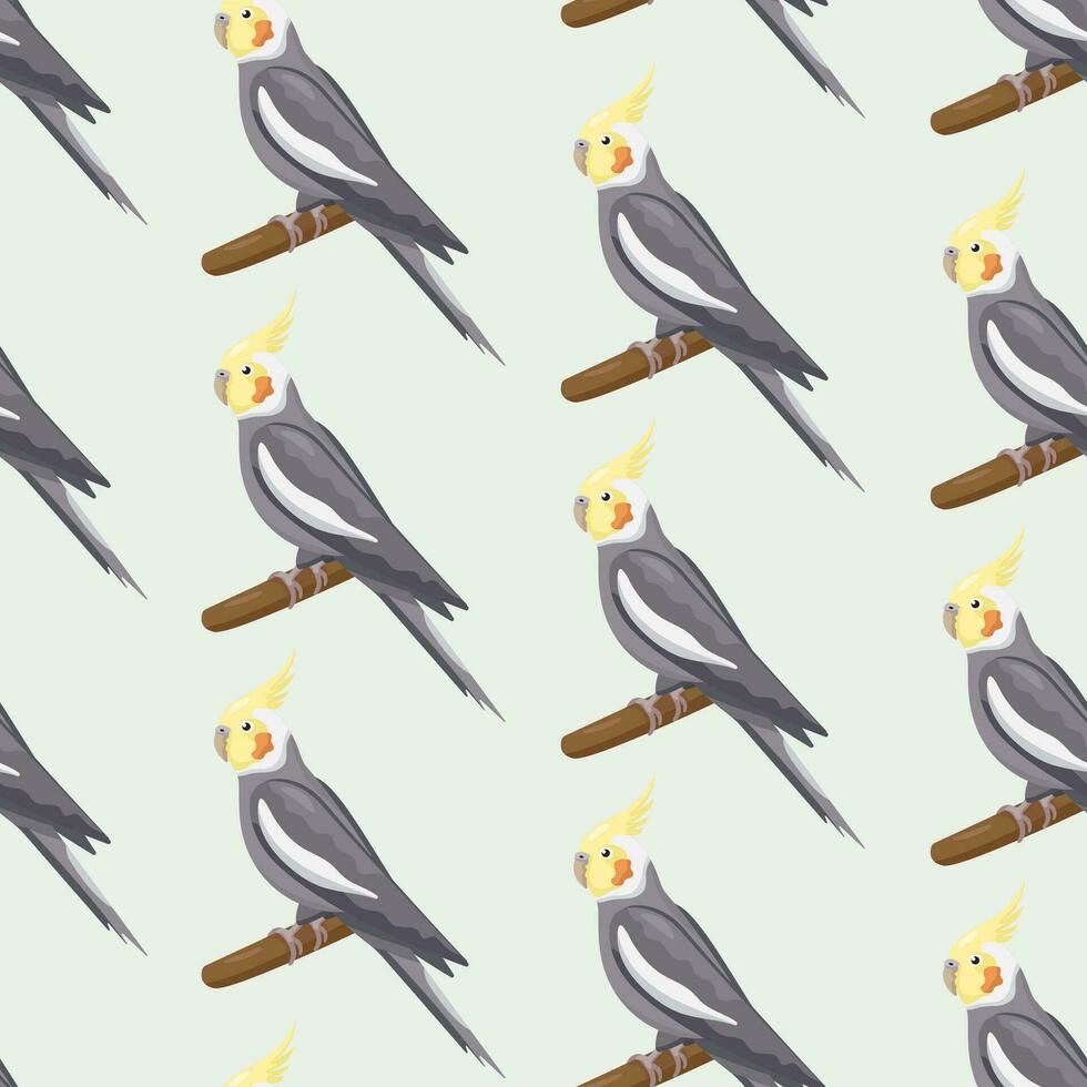 Seamless pattern with cartoon grey cockatiels sitting on branches. Flat little colorful exotic Australian parrots. Vector illustration with birds. Domestic pets.