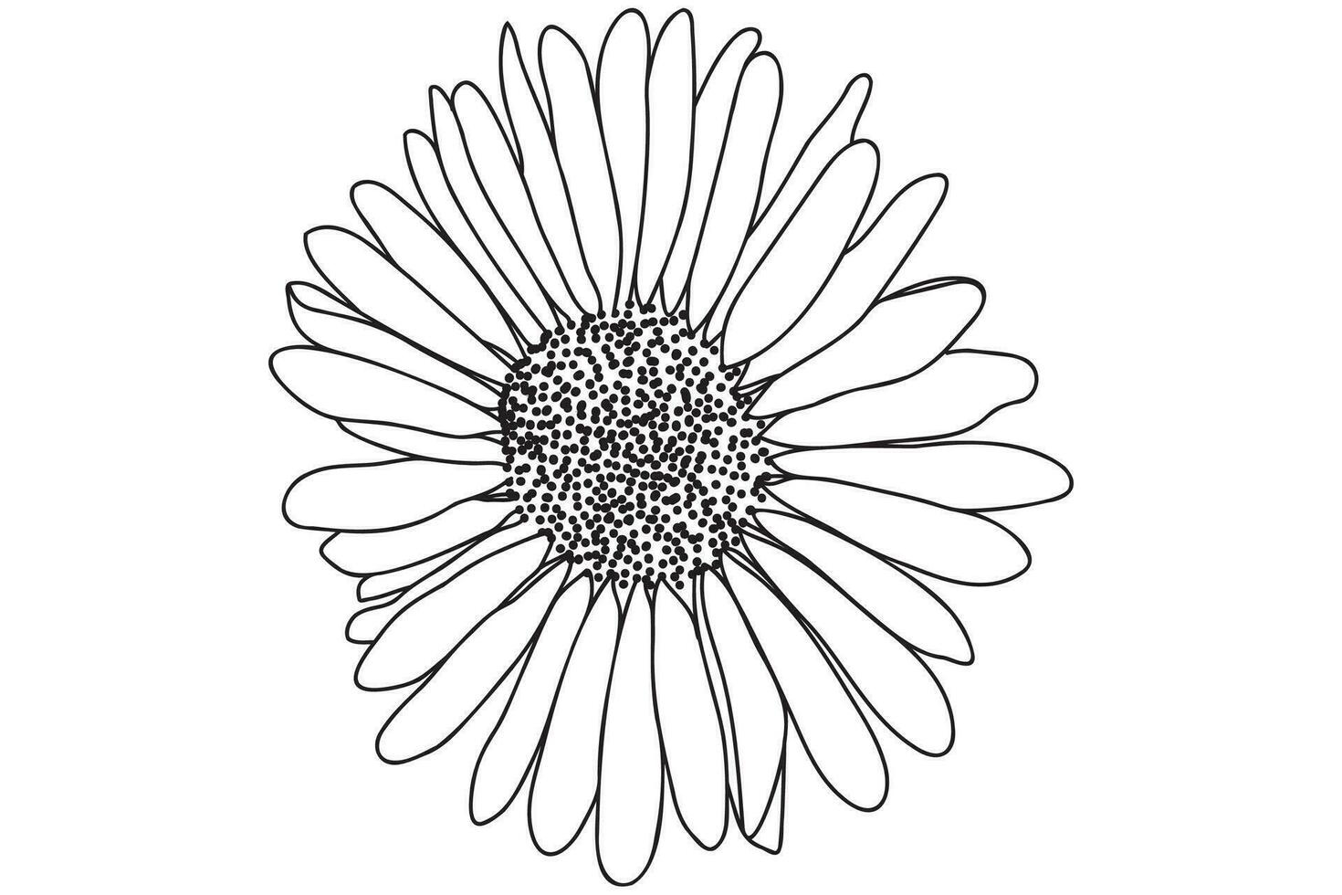 Daisy is drawn in black outline, intended for printing on cards, clothes, accessories, March 8, Valentine and other occasions. vector
