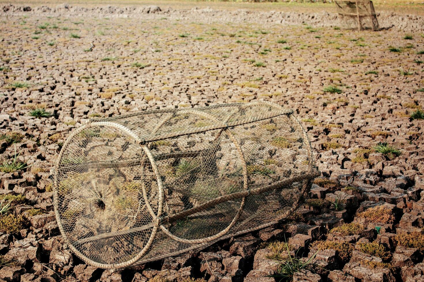 Fish trap on arid soil. photo
