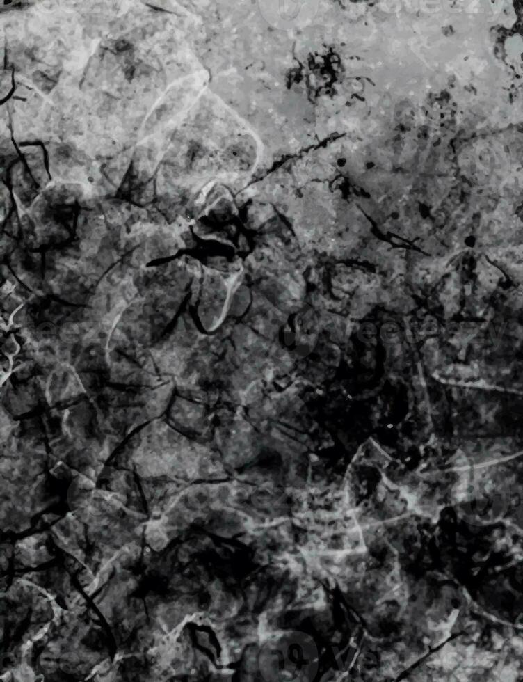Abstract vector grunge surface texture background photo