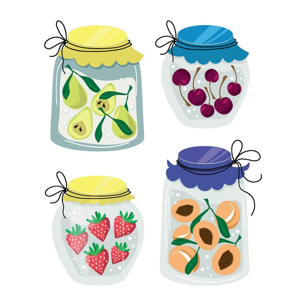 Homemade set  jars of preserving the fruit and berry. Autumn harvest season. Vector illustration