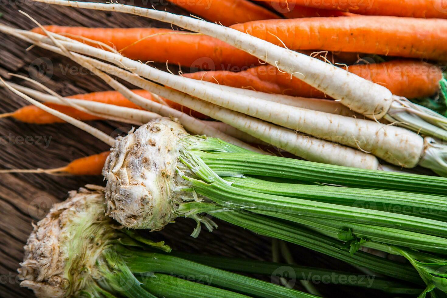 Assortment of fresh vegetables. Carrot garlic kohlrabi onion celery cucumber parsnip and radish on table. photo