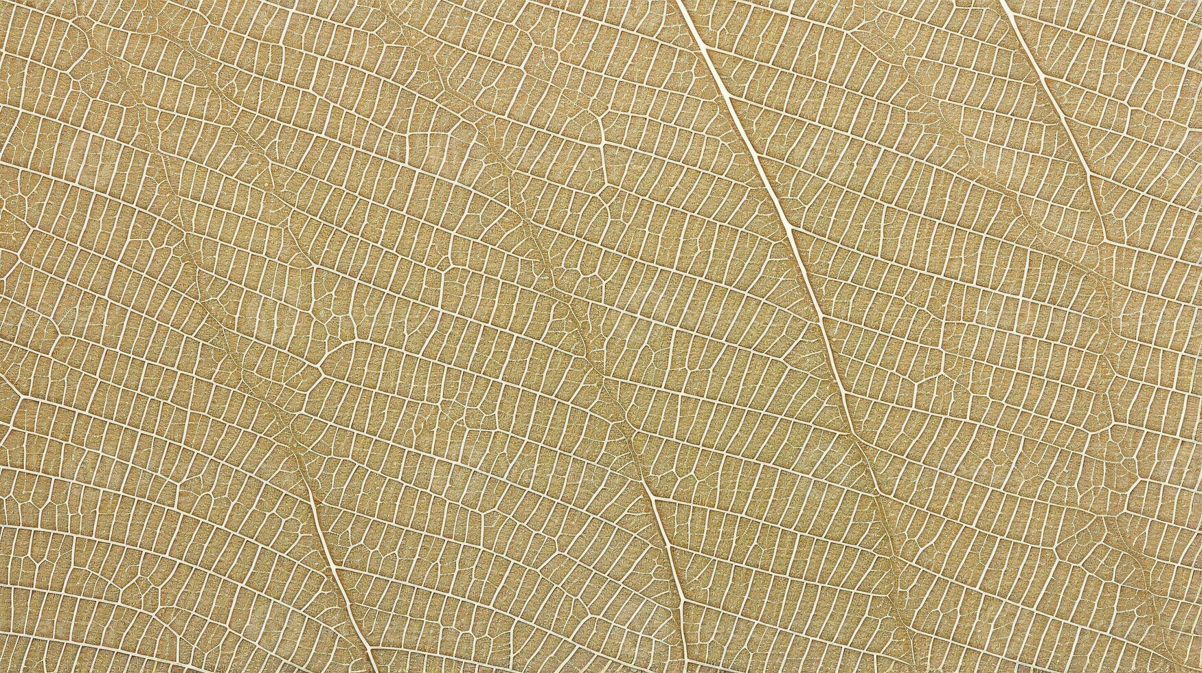 Close up texture leaf structure macro photography, abstract texture, Generative AI illustration photo
