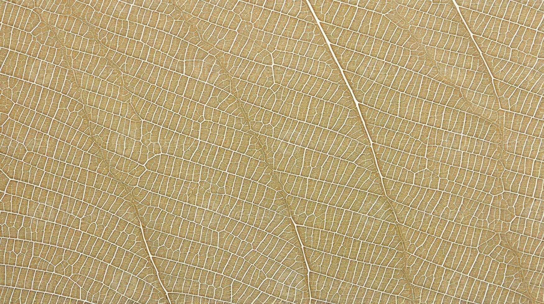 cerca arriba textura hoja estructura macro fotografía, resumen textura, generativo ai ilustración foto