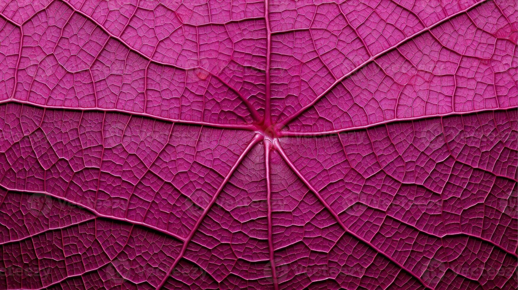 Close up texture leaf structure macro photography, abstract texture, Generative AI illustration photo