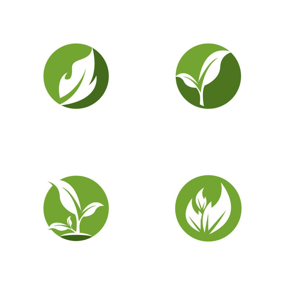 Green Leaf Nature Plant Conceptual Symbol Vector Illustration