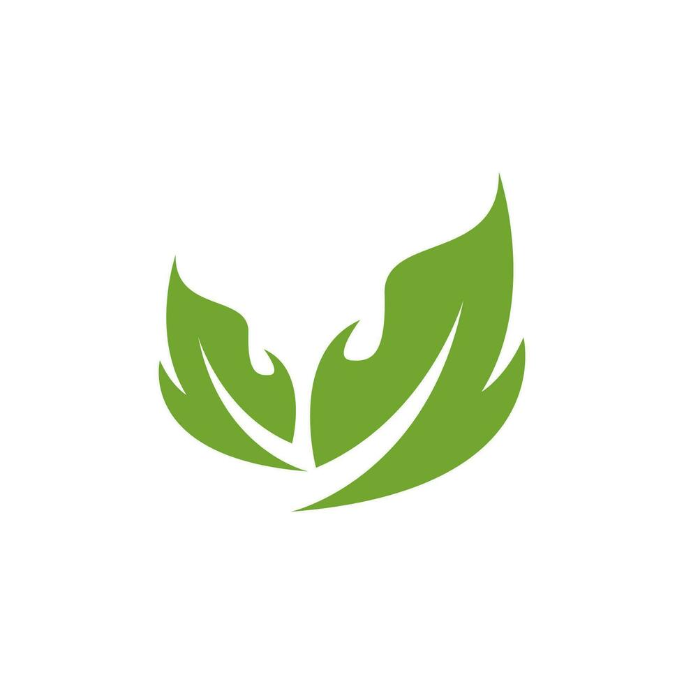Green Leaf Nature Plant Conceptual Symbol Vector Illustration