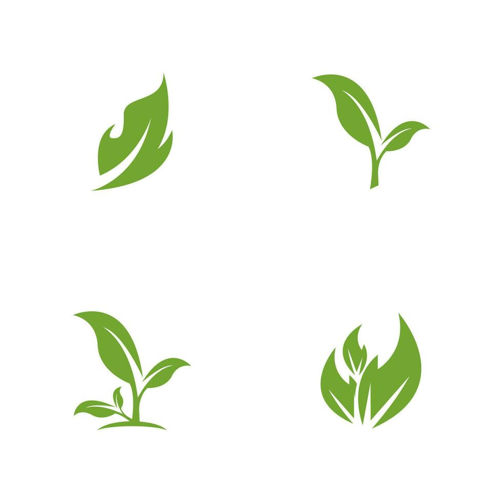 Green Leaf Nature Plant Conceptual Symbol Vector Illustration