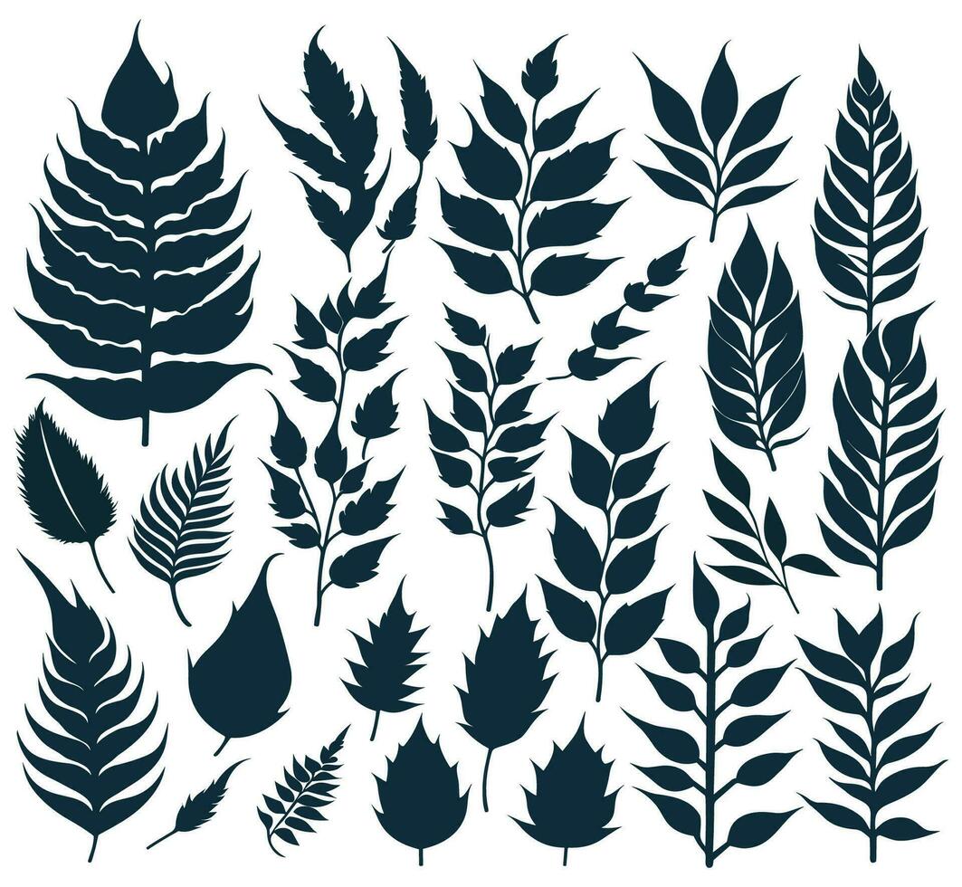 silhouette Leaf set vector. vector