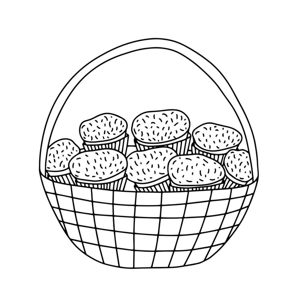 Wicker basket with muffins vector sketch