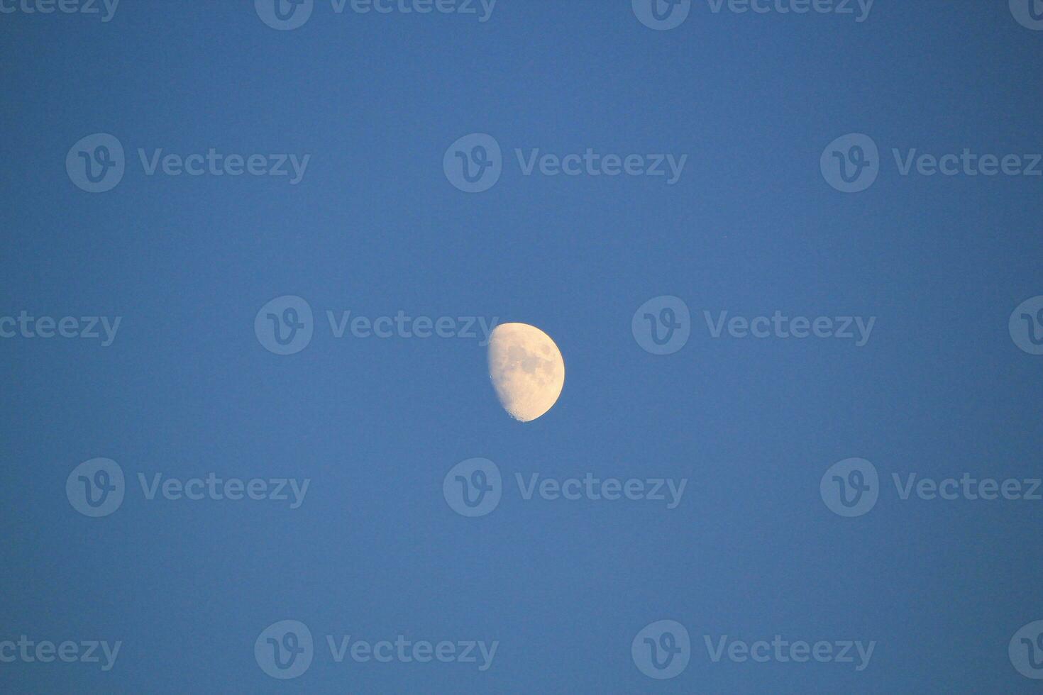 Luna en el azul noche foto