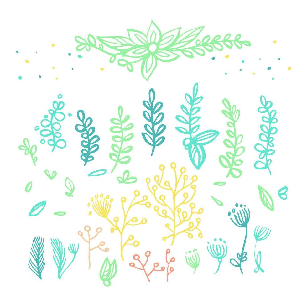 a set of colorful flowers and leaves vector