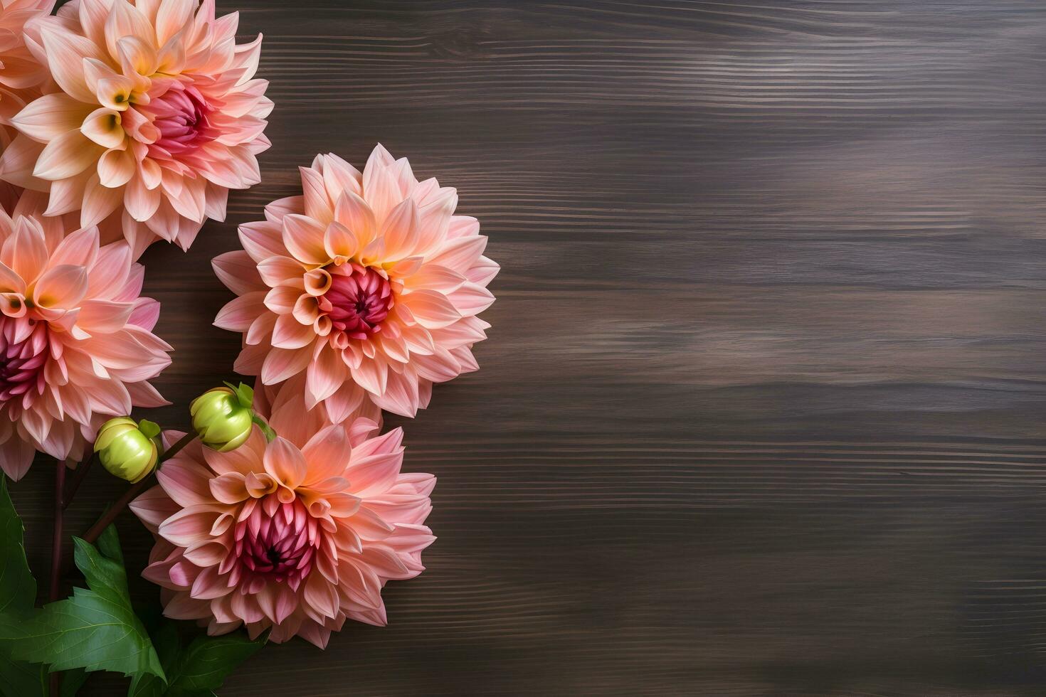 dalia flores en de madera fondo, floral plano poner. san valentin, De las mujeres, madres día, cumpleaños o Boda concepto. parte superior vista. Copiar espacio. generado ai. foto