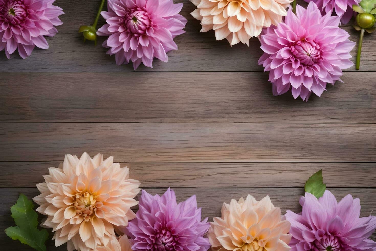 Dahlia flowers on wooden background, floral flat lay. Valentine's, womens, mothers day, birthday or wedding concept. Top view. Copy space. Generated AI. photo