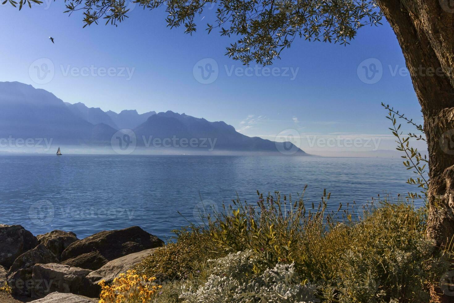 Alpes montañas sobre Ginebra lago, montreux, Suiza foto