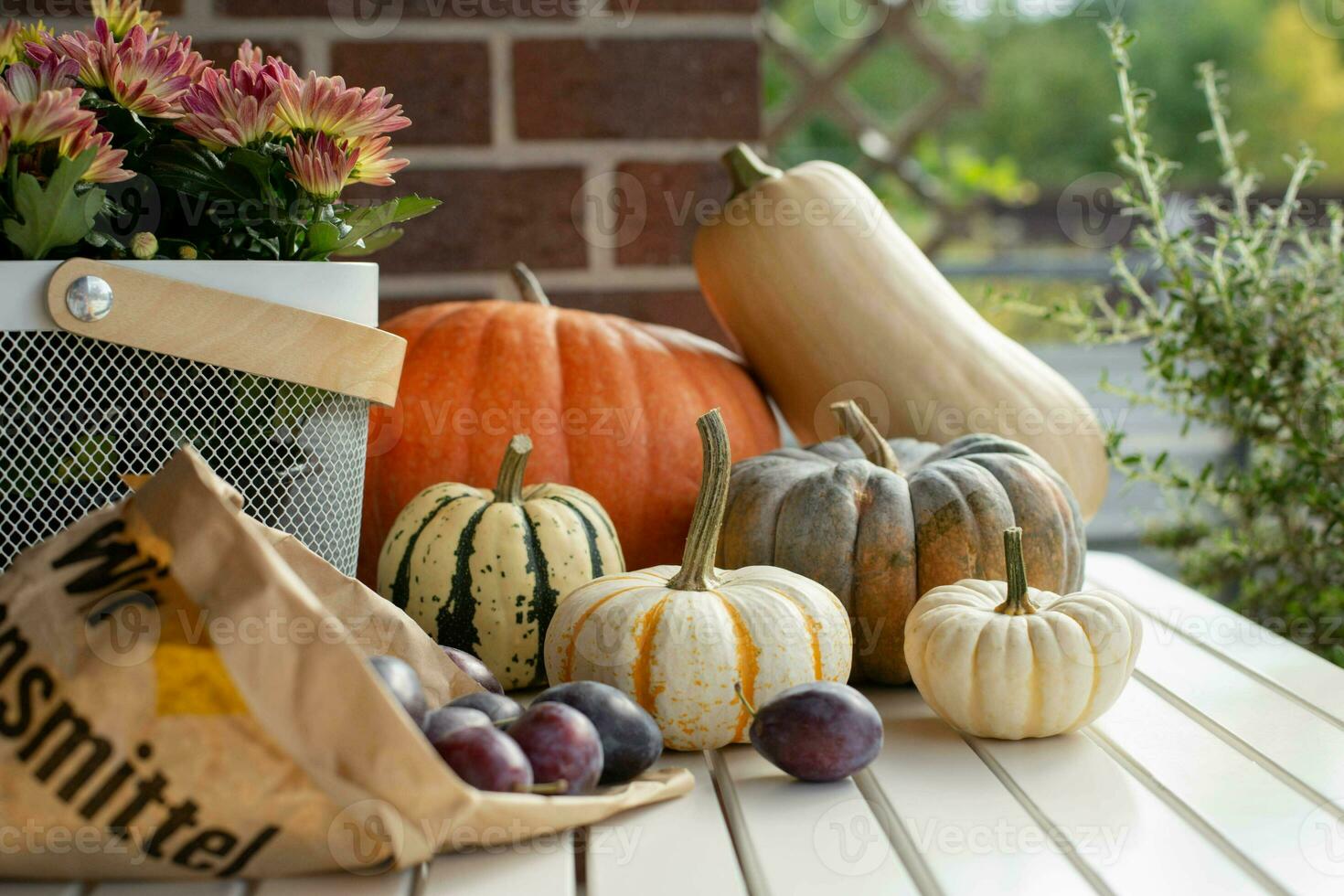 Autumn still life with seasonal fruits, vegetables, flowers and colorful pumpkins and ripe plums. Selective focus. photo