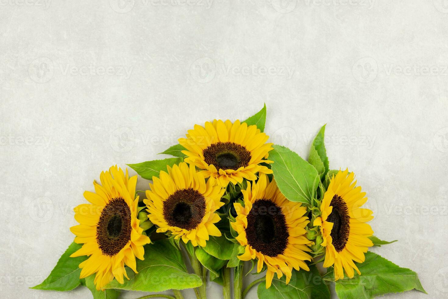 Bouquet of sunflowers on gray concrete background. Valentine's, womens, mothers day, easter, birthday or wedding, spring holiday flat lay. Top view. Copy space. photo