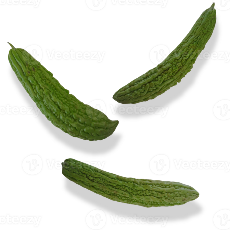 Green bitter melon, Bitter gourd or Bitter squash png