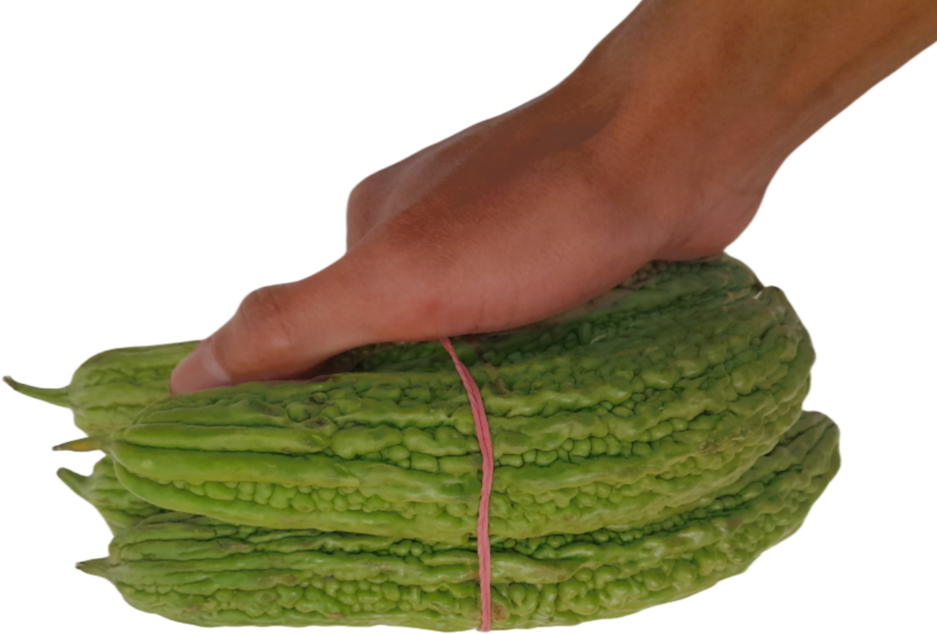 Green Bitter Melon Bitter Gourd Or Bitter Squash 30920425 PNG nutricost-bitter-melon-supplement-600mg-180-capsules-walmart