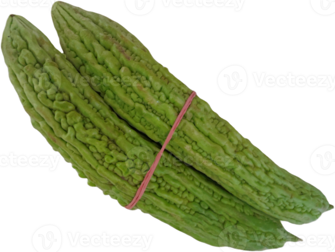 Green bitter melon, Bitter gourd or Bitter squash png