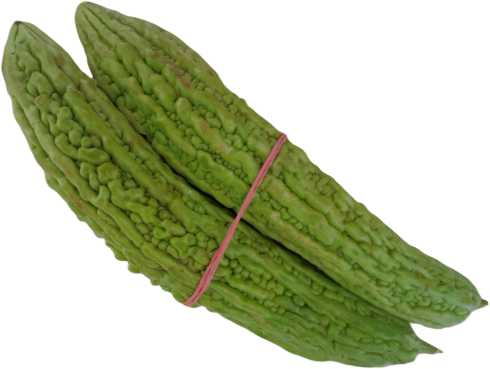 Green Bitter Melon Bitter Gourd Or Bitter Squash 30920429 PNG green-bitter-melon-bitter-gourd-or-bitter-squash-30920429-png