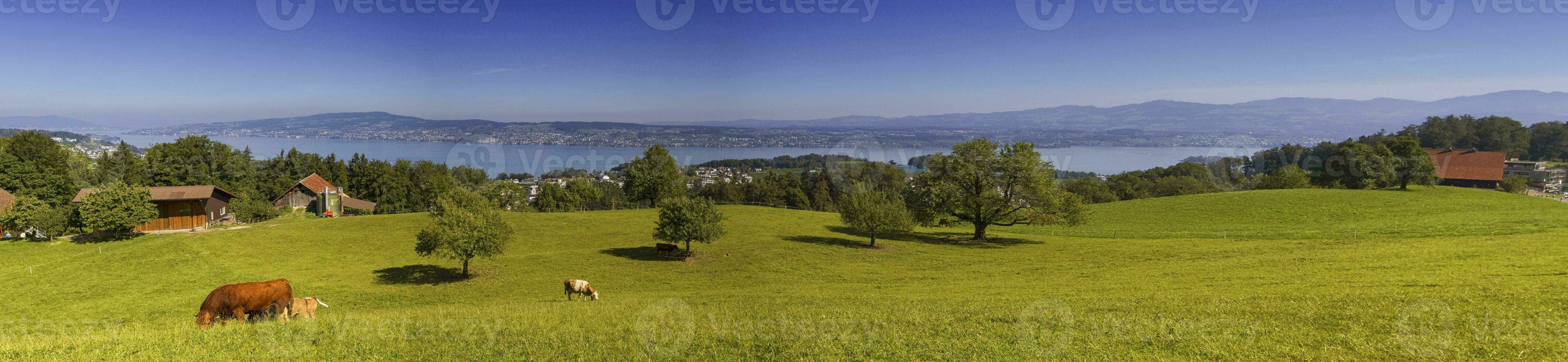 Zurich canton landscape, Switzerland photo