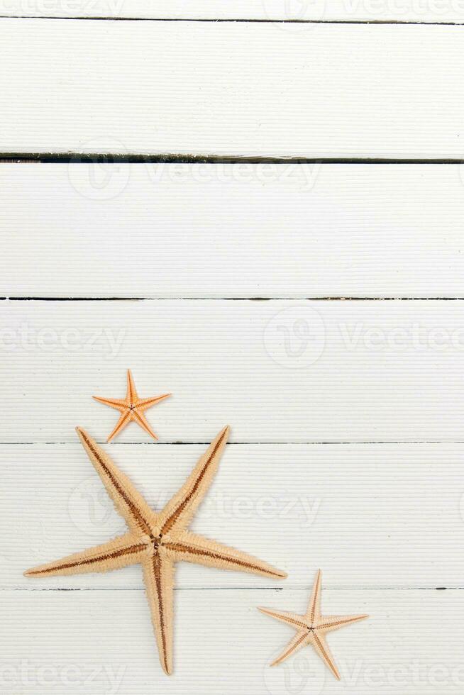 estrella de mar en blanco madera foto