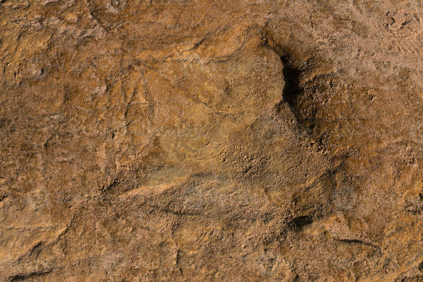 Dinosaur footprints on stone photo