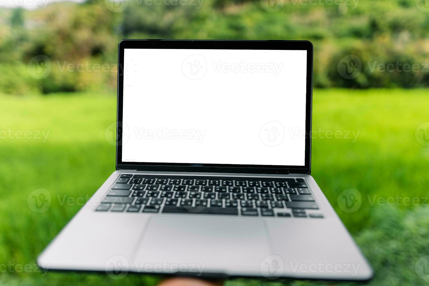 Laptop computer blank screen on a wooden terrace in the background of rice fields photo