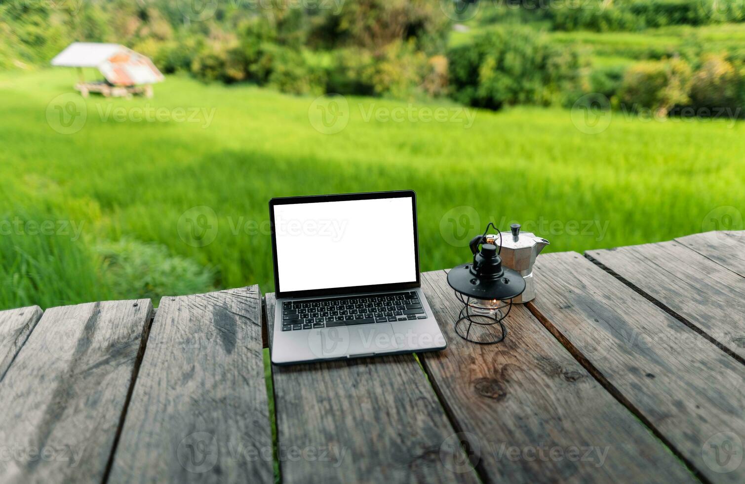 Laptop computer blank screen on a wooden terrace in the background of rice fields photo