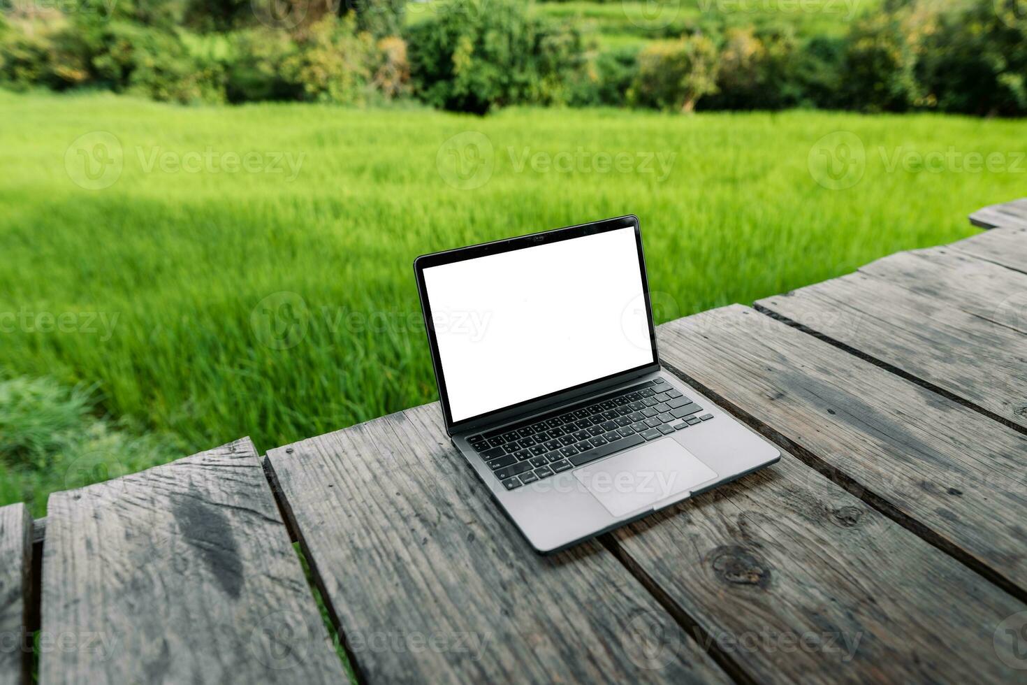 Laptop computer blank screen on a wooden terrace in the background of rice fields photo