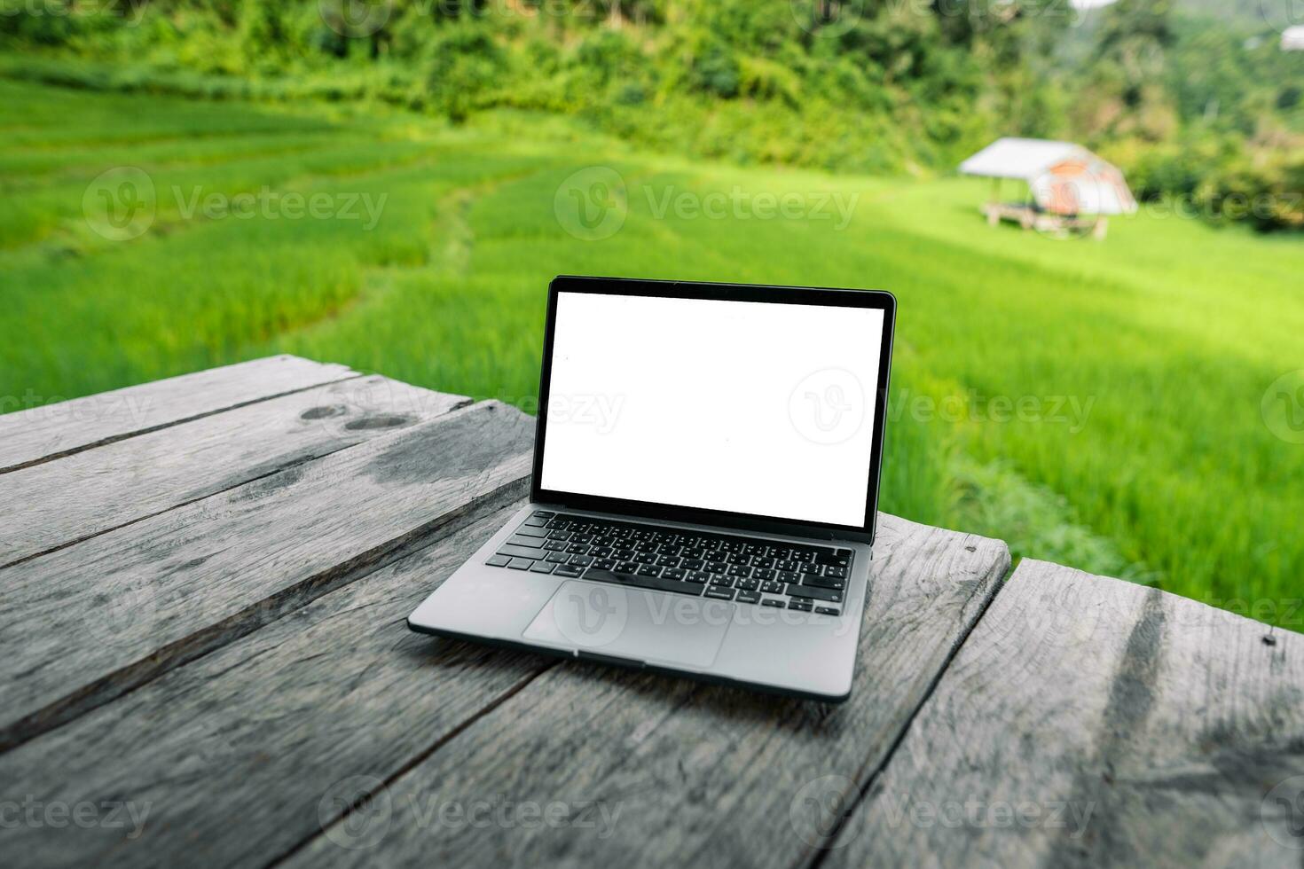 Laptop computer blank screen on a wooden terrace in the background of rice fields photo