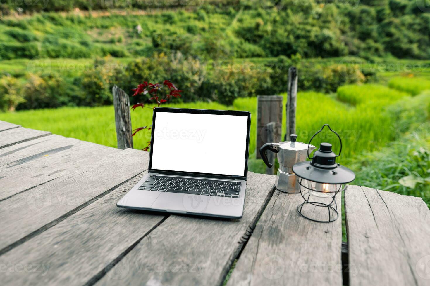 Laptop computer blank screen on a wooden terrace in the background of rice fields photo