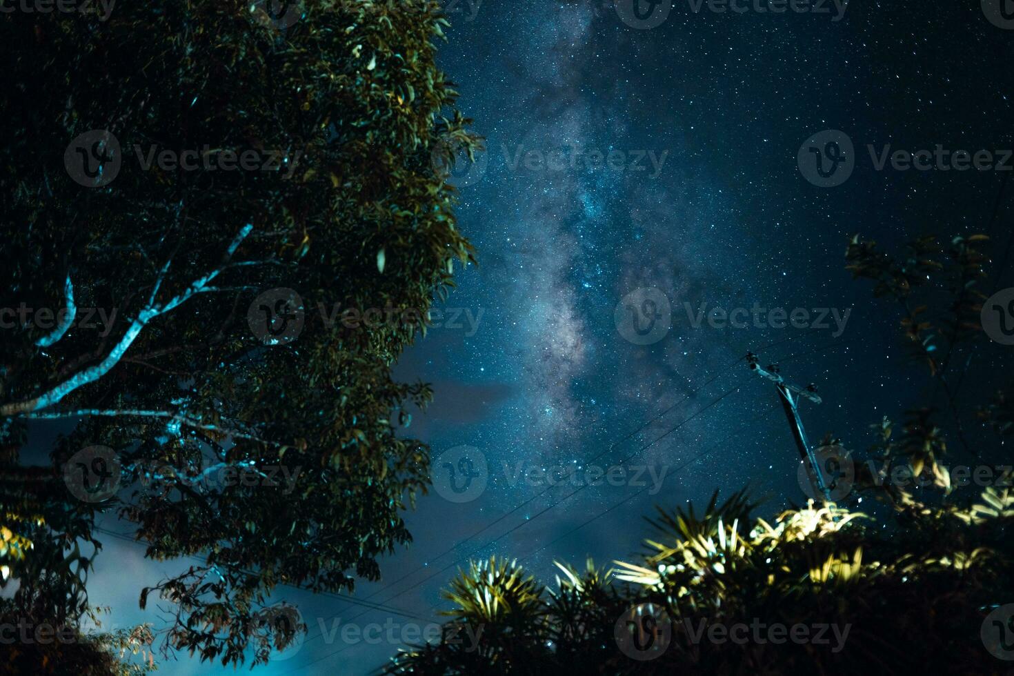 Stars and the Milky Way in the night sky photo