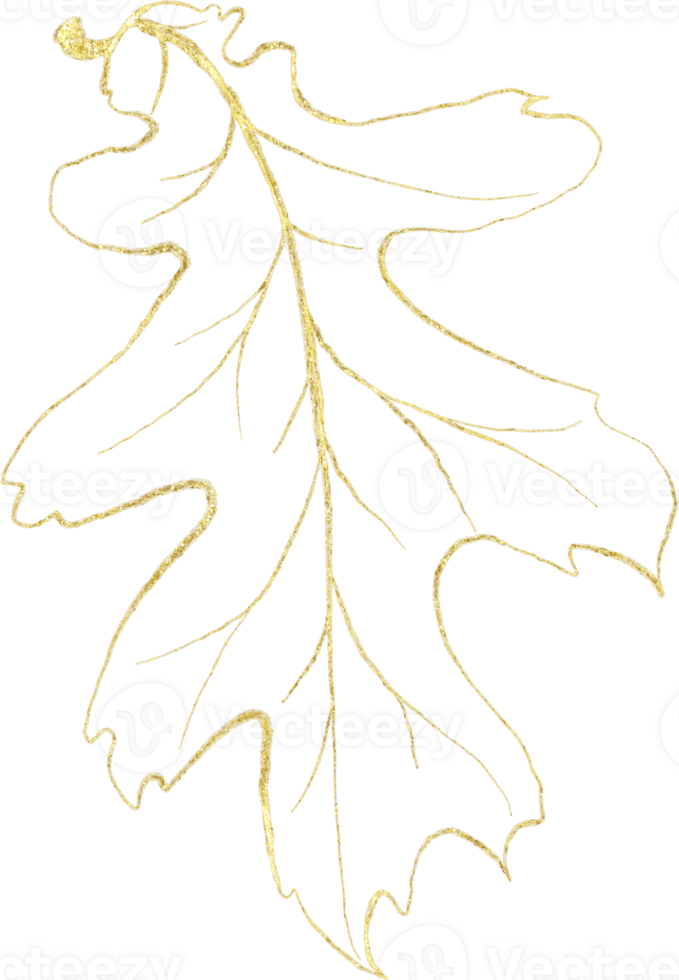 Seasonal leaf of golden luxury illustration png
