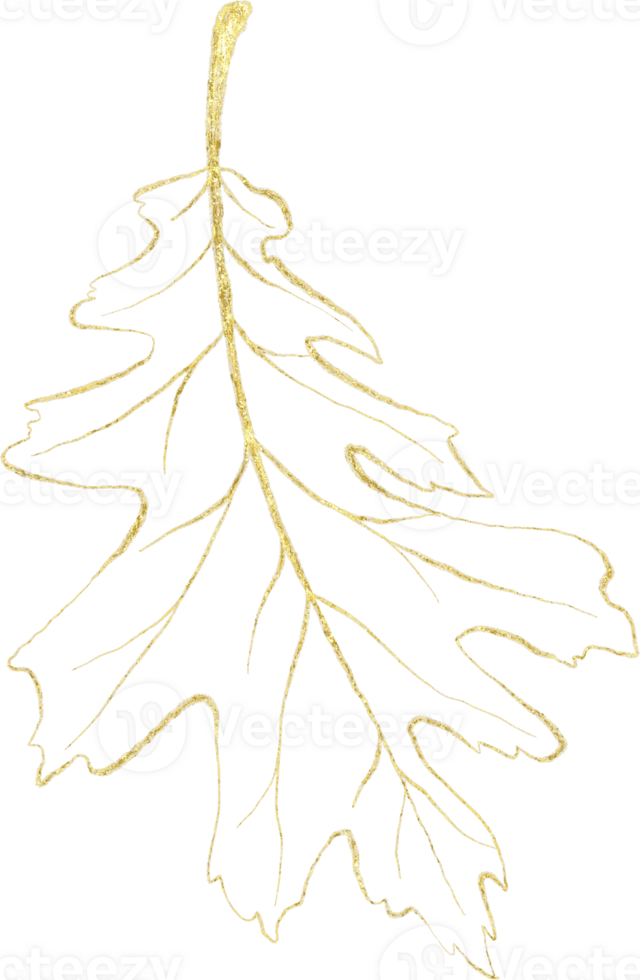 Seasonal leaf of golden luxury illustration png
