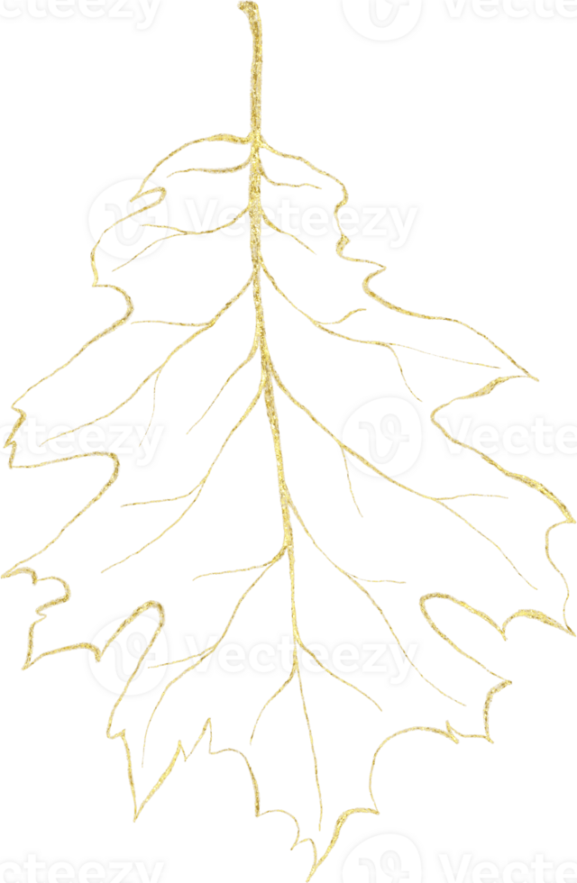 Seasonal leaf of golden luxury illustration png