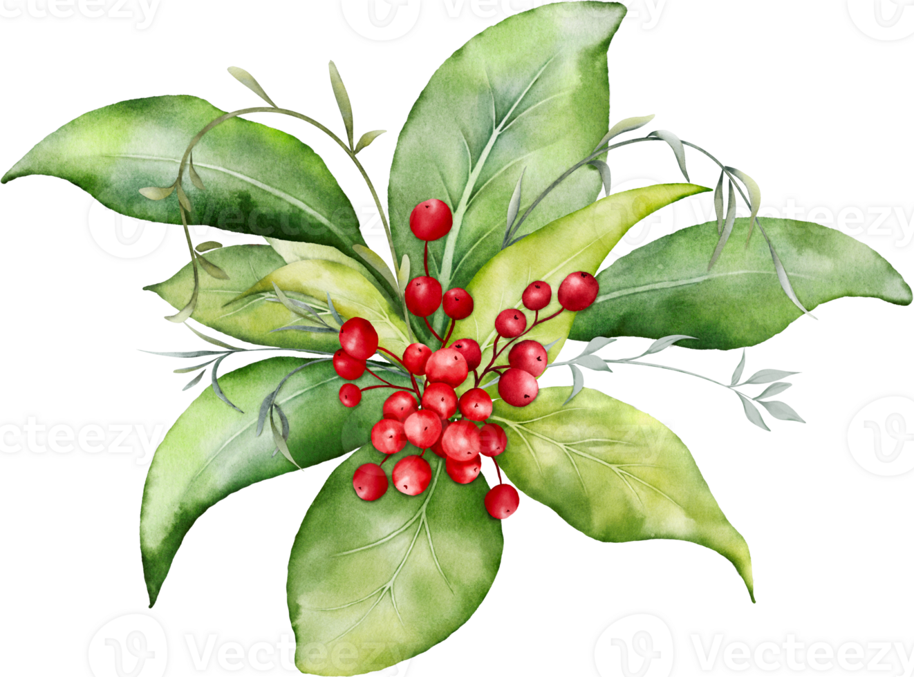 Christmas watercolor of berries and leaves png