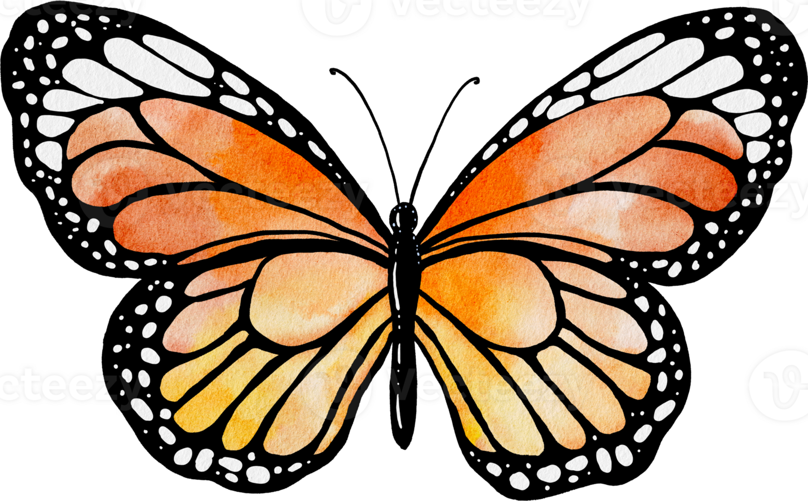Yellow orange butterfly watercolor painting 30924669 PNG