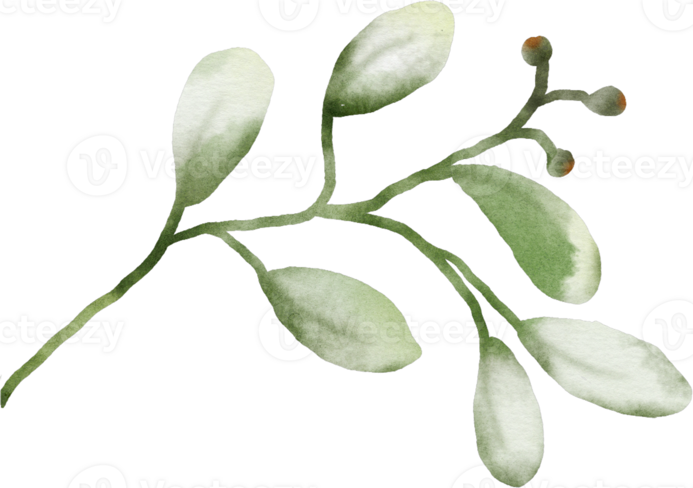 Watercolor Green Leaves Element png