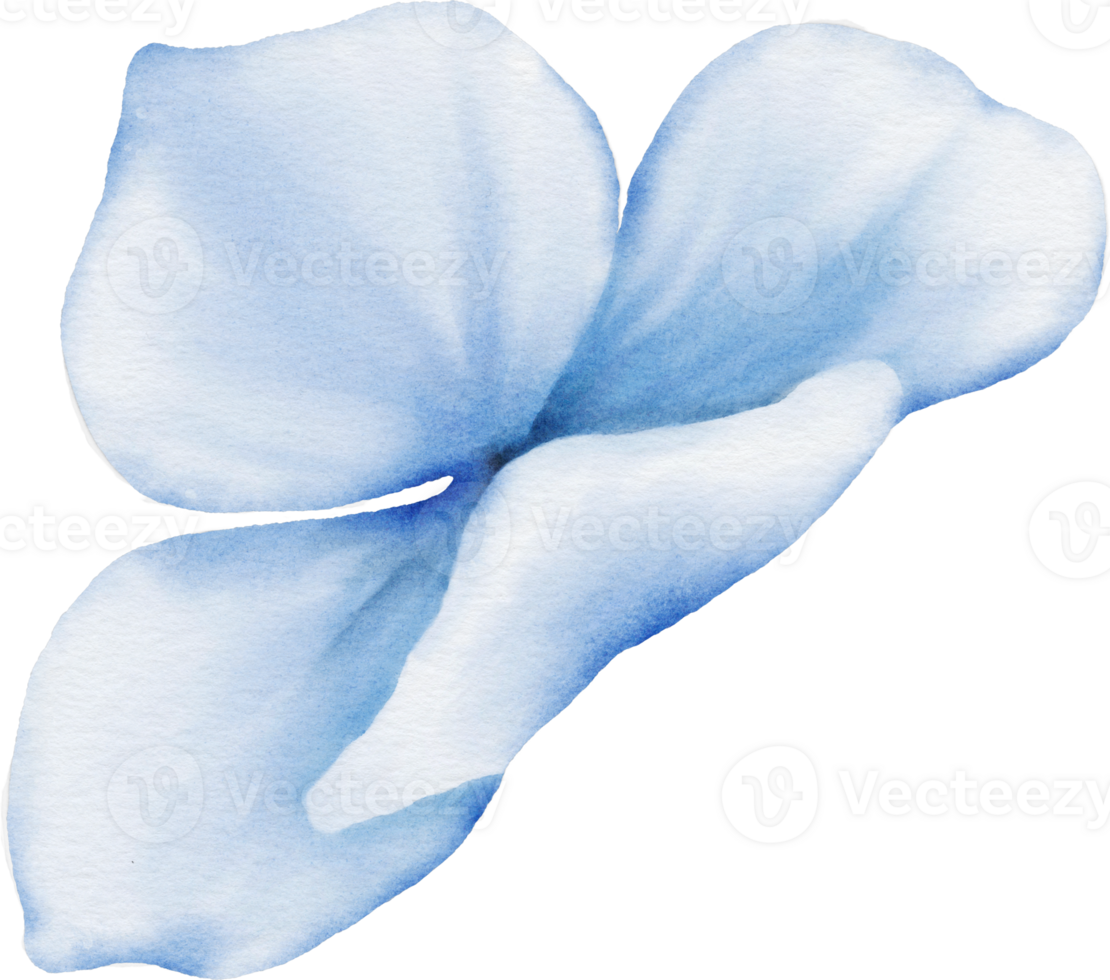 Flower Watercolor Element png