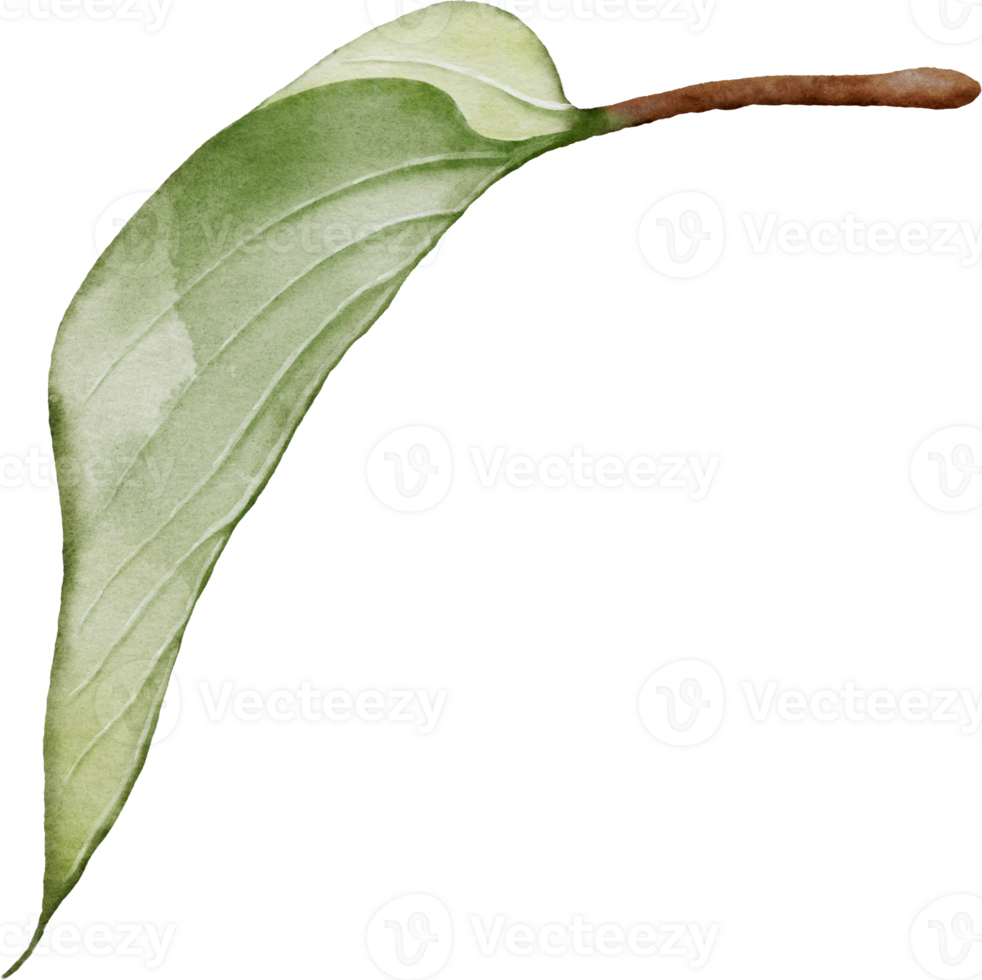 Lilac leaf element with watercolor png