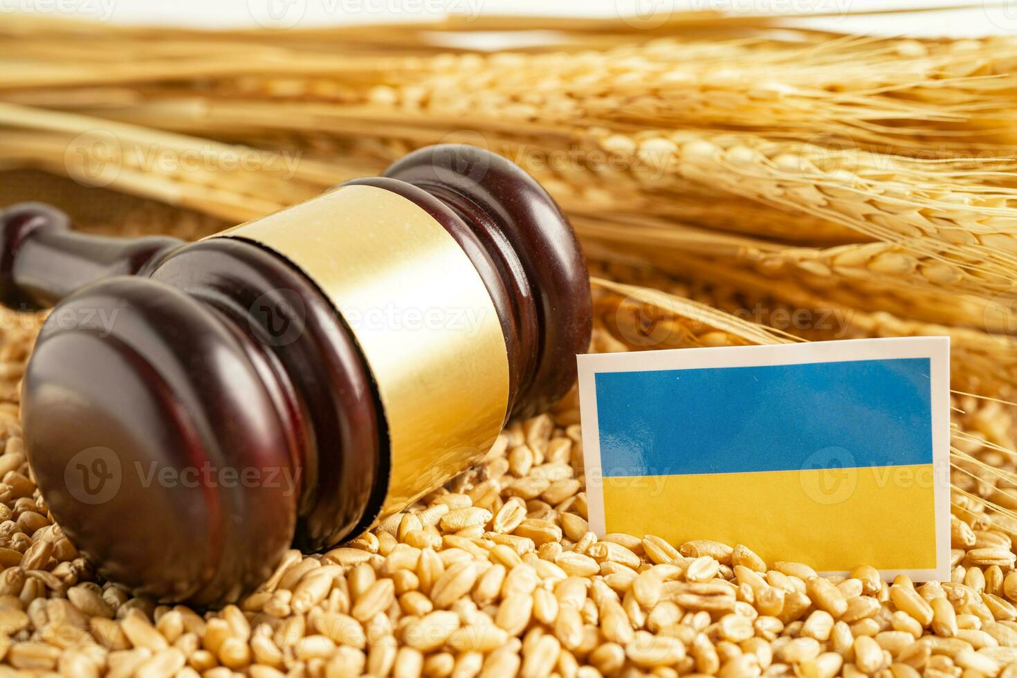 Grains wheat with Ukraine flag, trade export and economy concept. photo