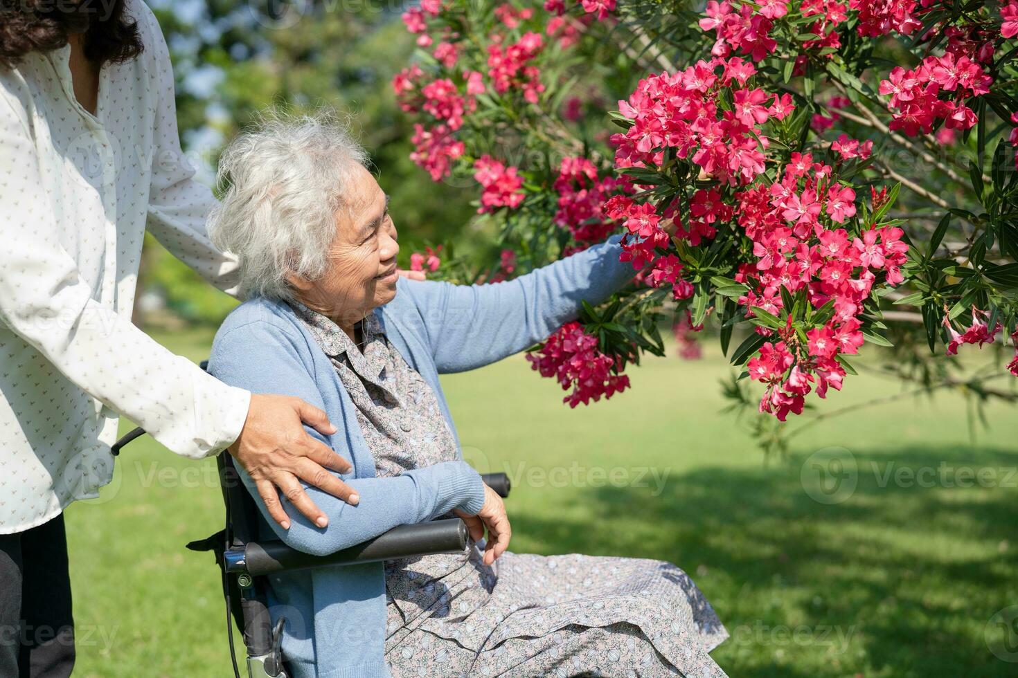 Asian elderly woman holding red rose flower, smile and happy in the sunny garden. photo