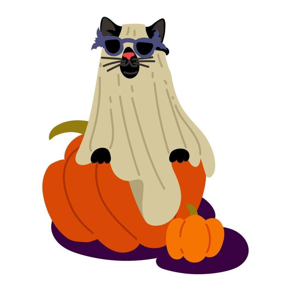 A cat in a sheet and glasses on Halloween is sitting on a pumpkin. Cute black cat in blue glasses with bats. Funny costume. Flat vector illustration on white. Costume for a cat with glasses