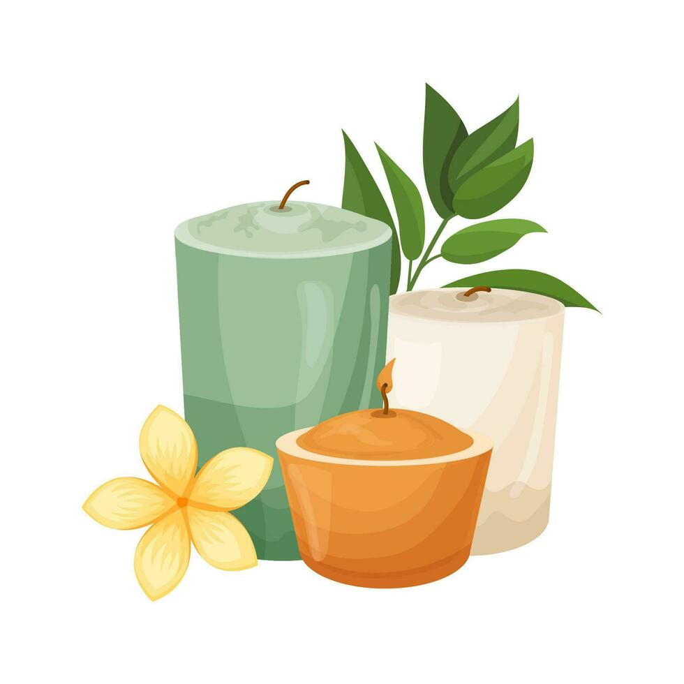 Scented candles with exotic flower and branch with leaves vector