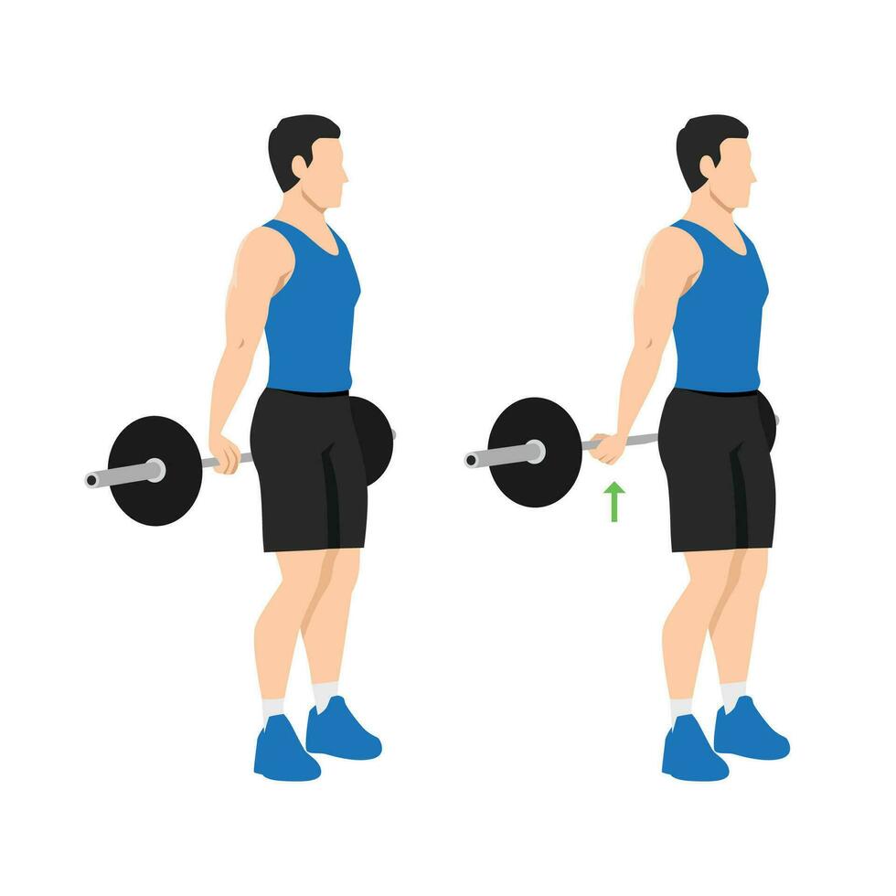 Man doing Behind the back standing wrist curls exercise. vector