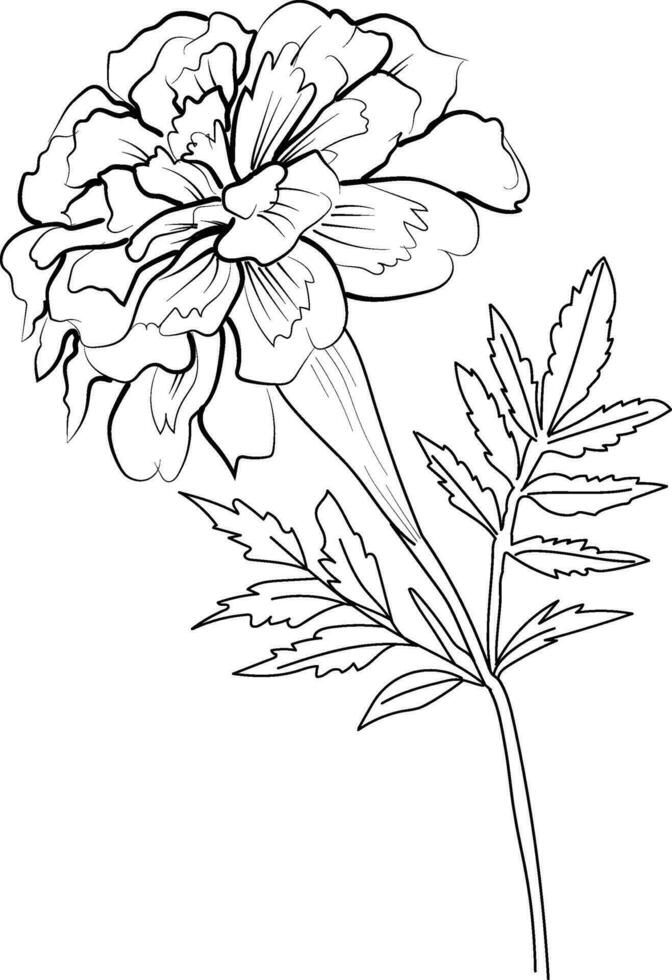 octubre nacimiento flor tatuaje diseños, pequeño octubre nacimiento flor tatuaje, flor bosquejo Arte mano dibujado ramo de flores de floral aislado en blanco fondo, flor racimo dibujo vector