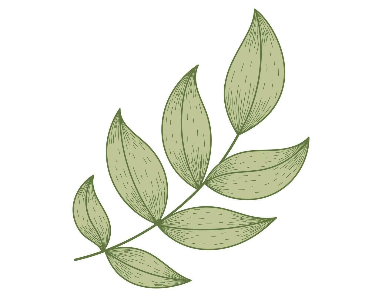 Vector flat decorative twig with green leaves, isolated plant branch in sketch style.