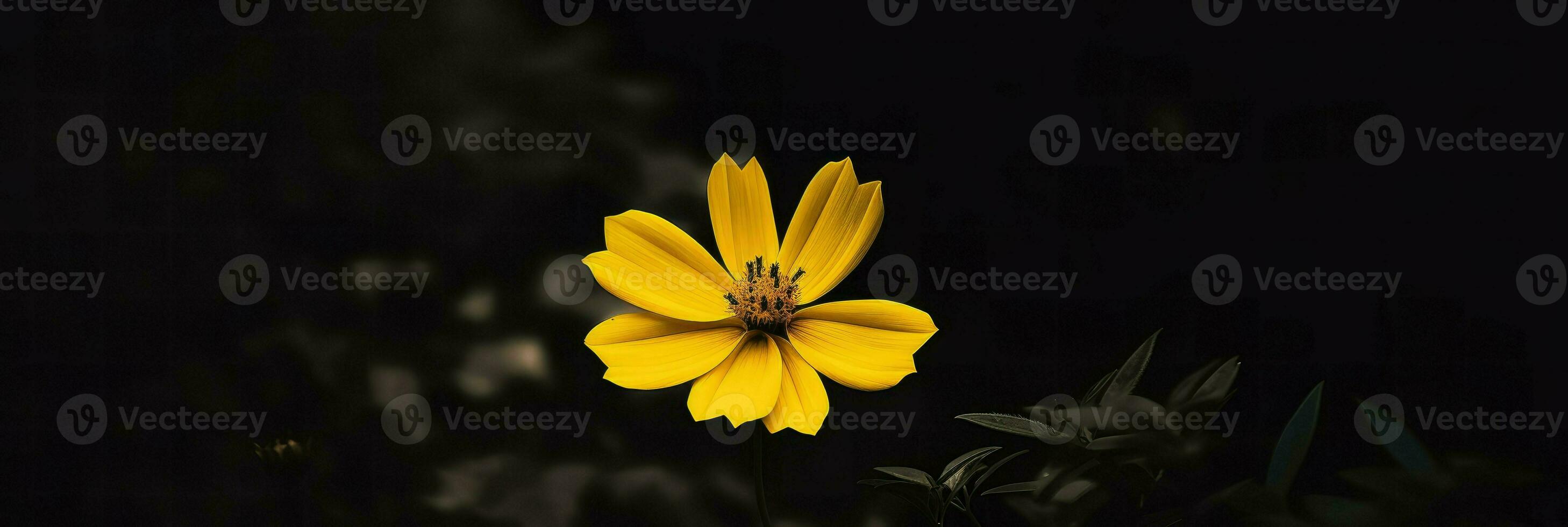 AI Generative single yellow flower in a dark photo